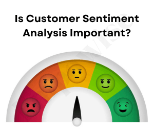 Customer Sentiment Analysis